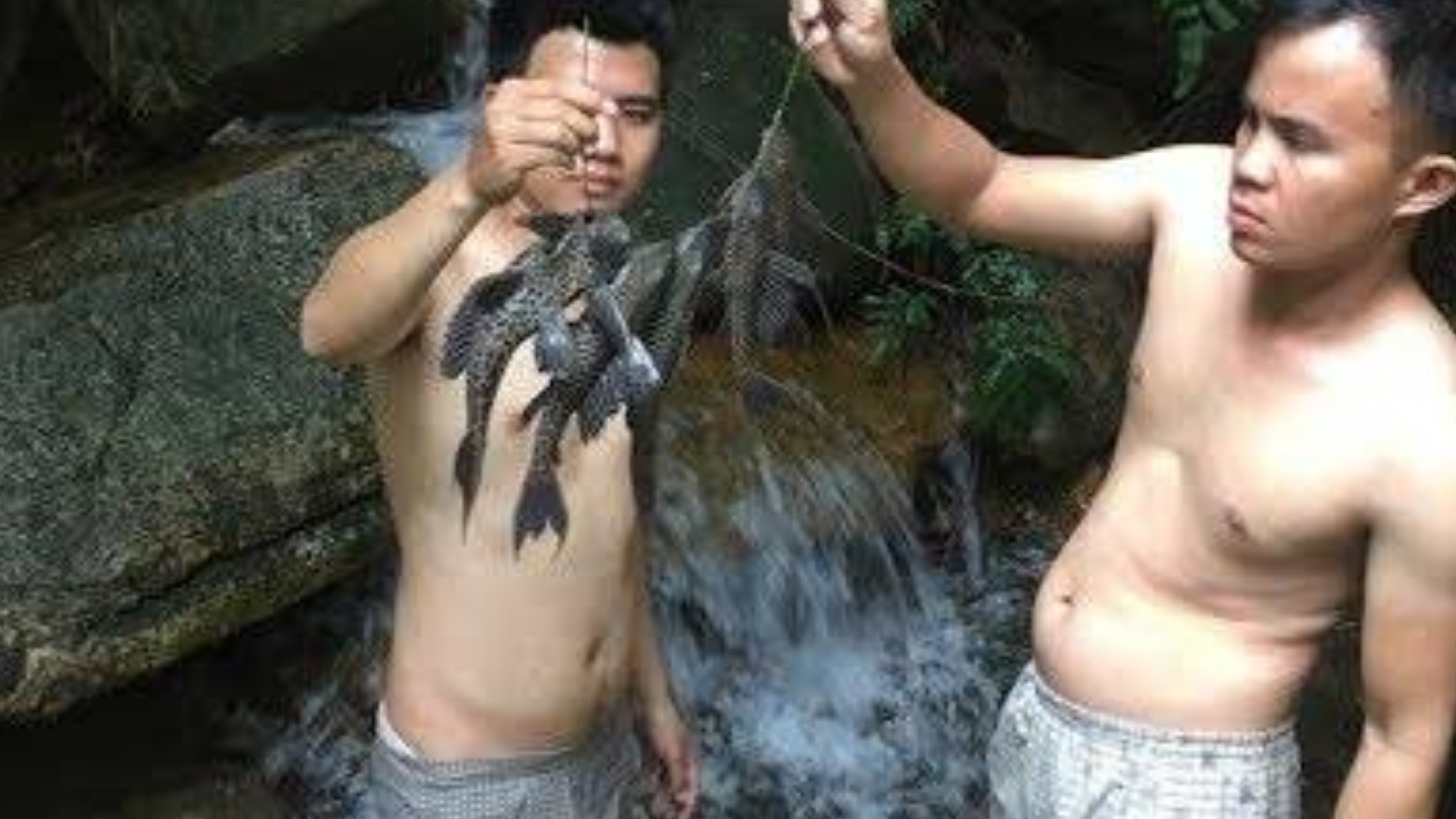 原始技术:捕捞淡水鱼,火犁,烤鱼